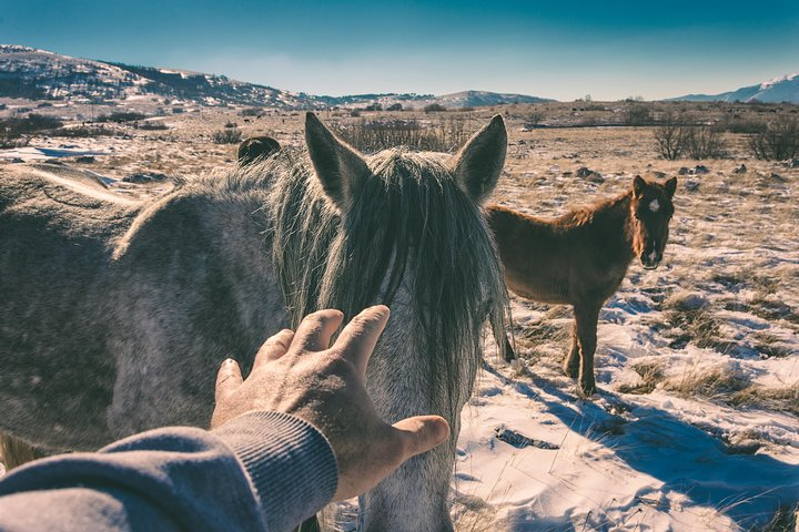 Horse Riding in Bosnia & Herzegovina, Village Goranci
